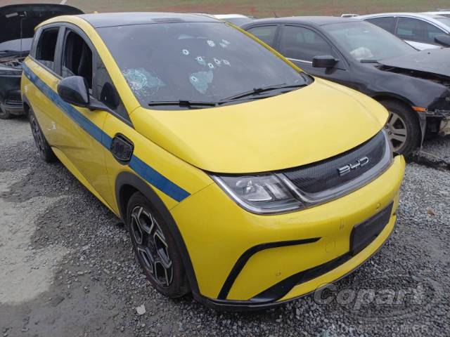Dolphin Plus EV 150 2025